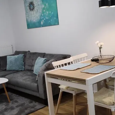 Apartament Na Armii Krajowej, Blisko Centrum I Aquaparku, Darmowy Parking *